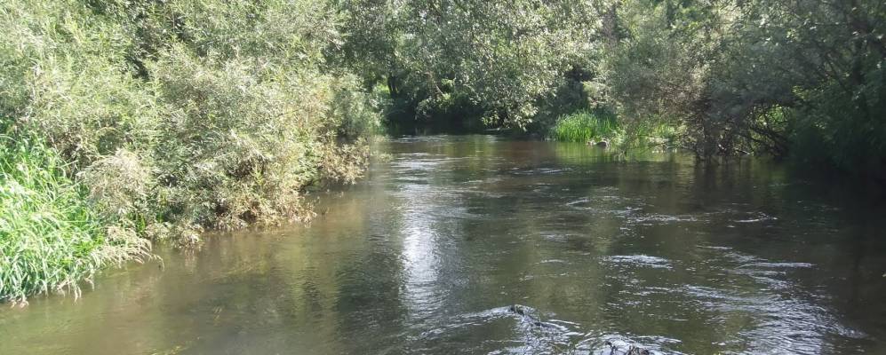 Фотография Яшино