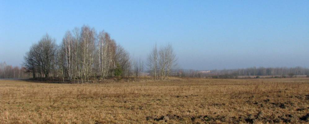 
            Фотография Юнища