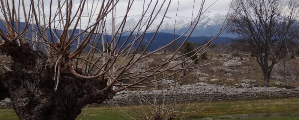 
            Фотография Розьера (Округ Ларжантьер)