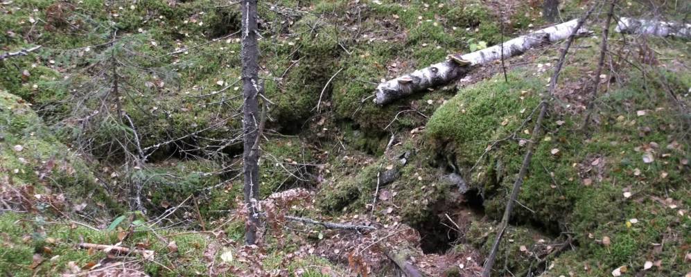 
            Фотография Рахново