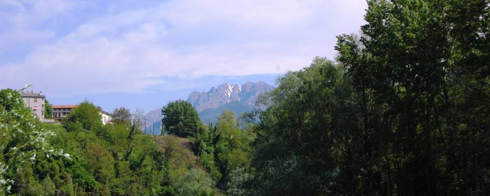 
            Фотография Бедильора 