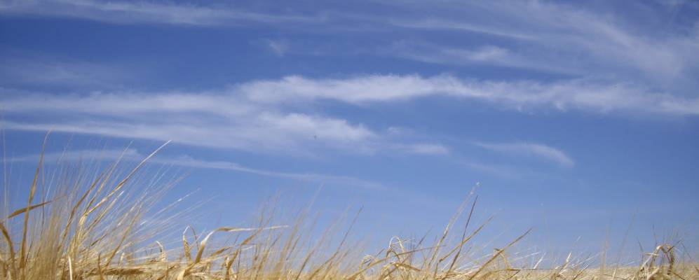 
            Фотография Фуенте эль Саса