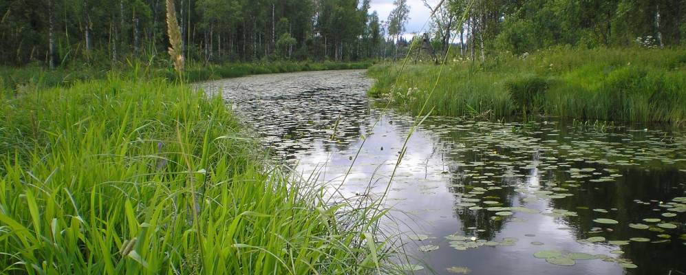 
            Фотография Баслово