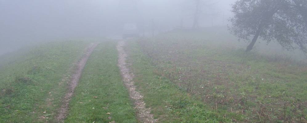 
            Фотография Гуней