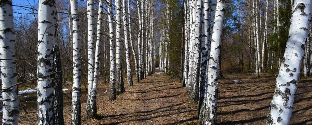 Фотография Уткино