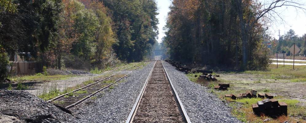 
            Фотография Креолы