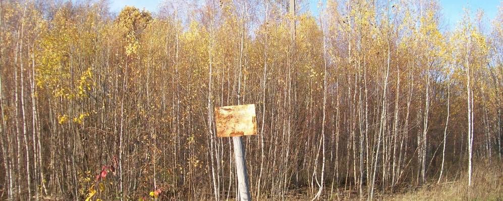 Фотография Малого Тризново