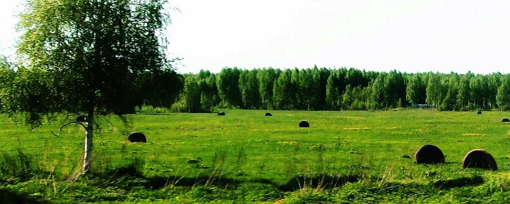 Фотография Васюкова