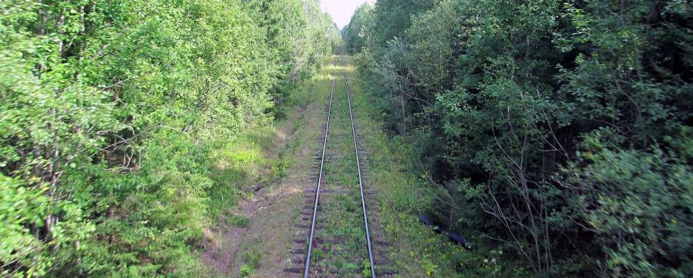 
            Фотография Градоши