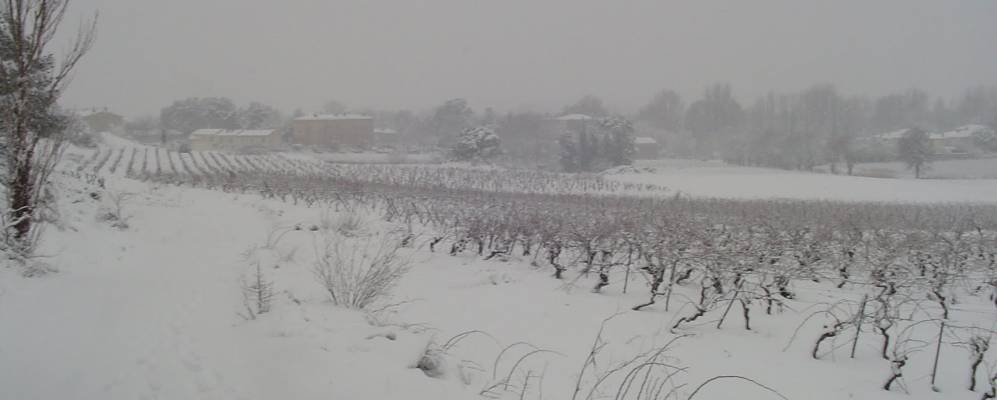 
            Фотография Конк-сюр-Орбьеля