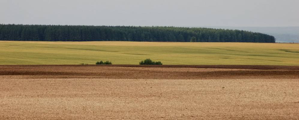 
            Фотография Ермоловки