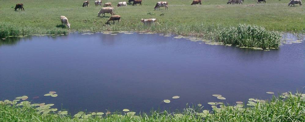 
            Фотография Ефремовского