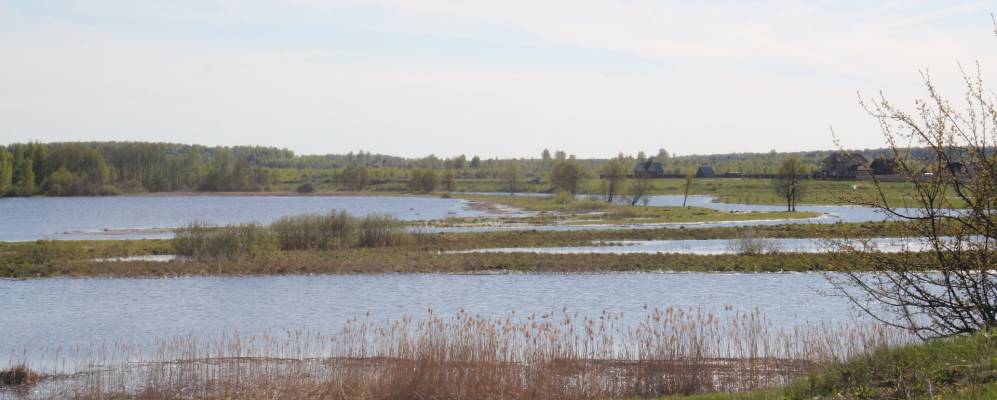 
            Фотография Алексино