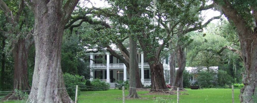 
            Фотография Джинеретта