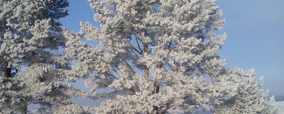 
            Фотография Русской Толшевы