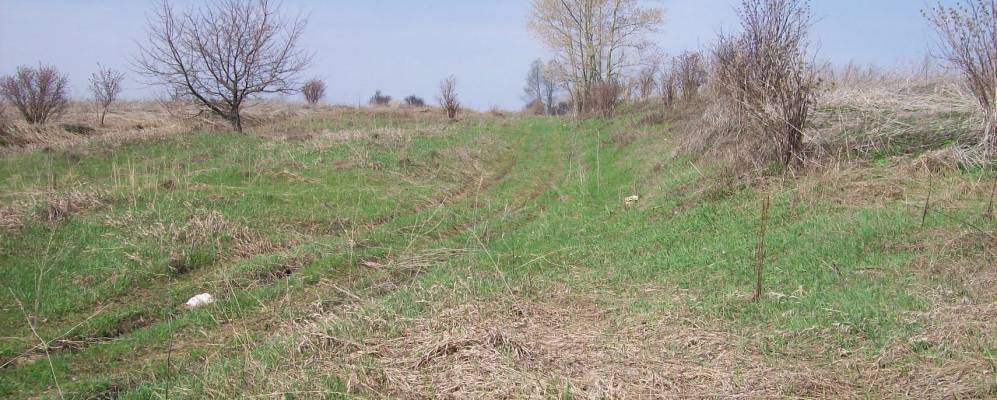 Фотография Гришинки