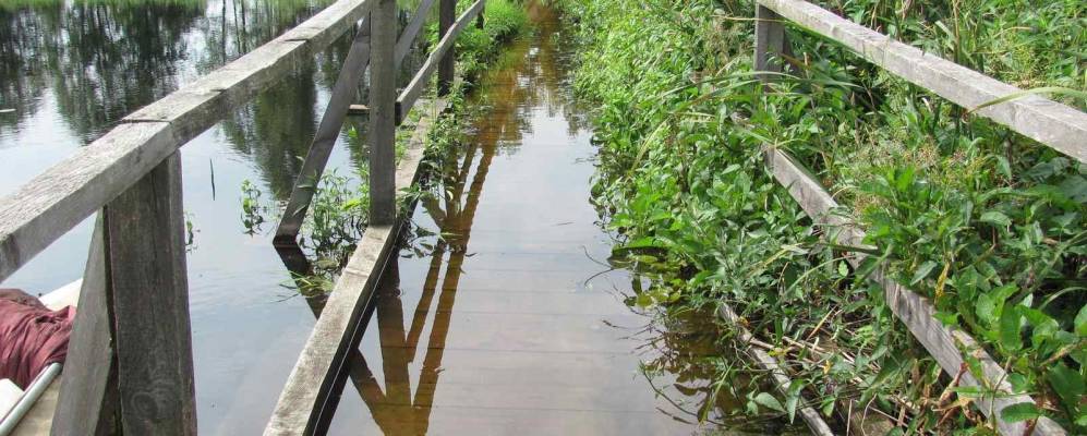 
            Фотография Выемки