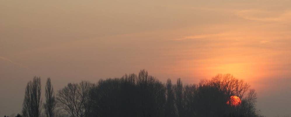 
            Фотография Кава Манары