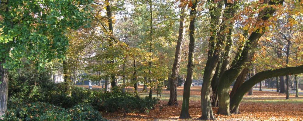 
            Фотография Бреды