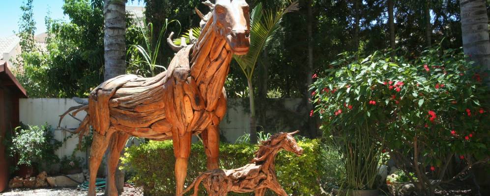 
            Фотография Эвен-Йегуды