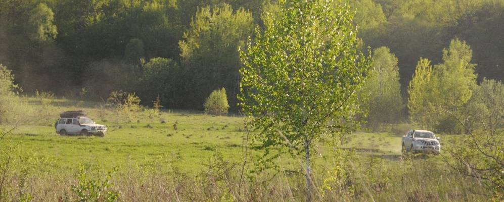 
            Фотография Неделиски