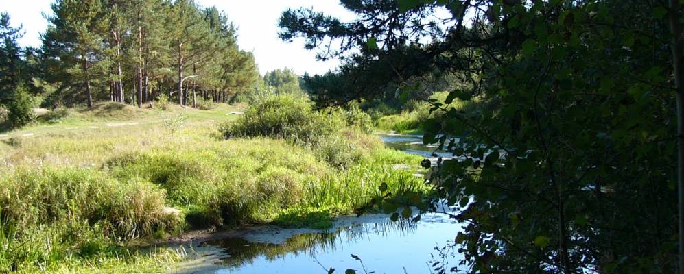 Деревня плечево переславль залесский. Конюцкое переславский. Деревня плечево переславль залесский. Кафе у часовни переславль-залесский. Деревня плечево переславль залесский.