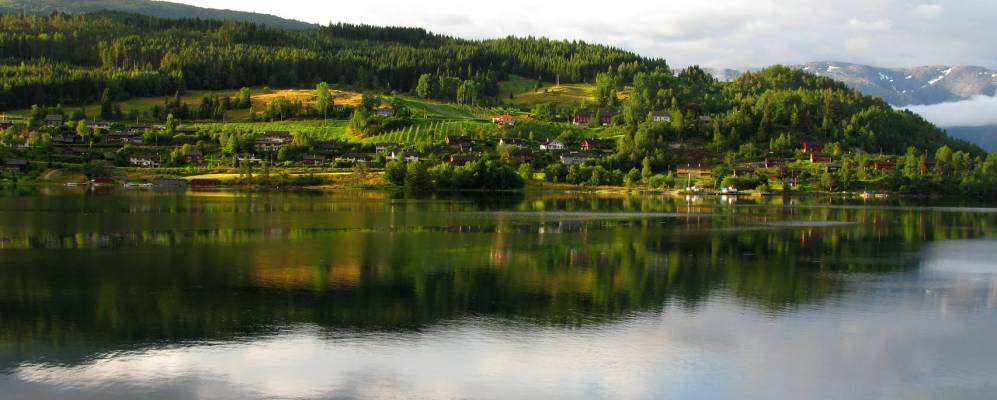 
            Фотография Ульвика