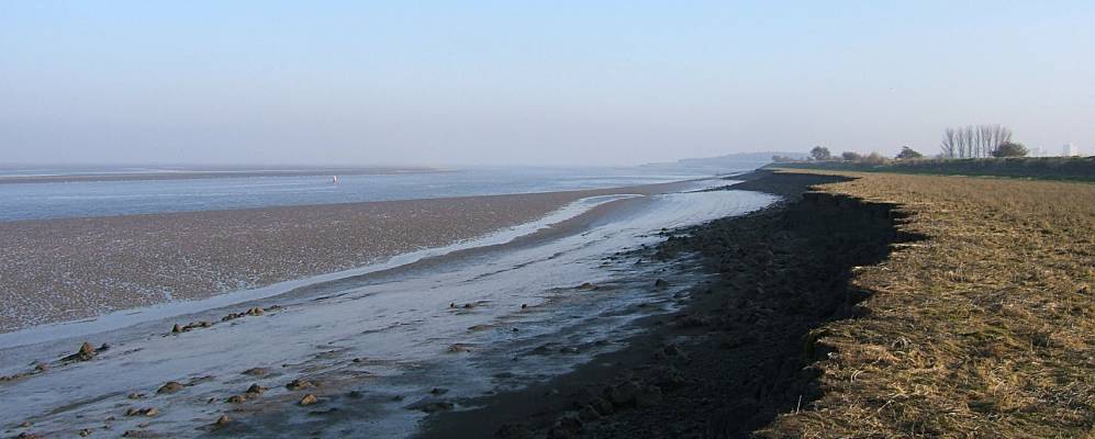 
            Фотография Флинта