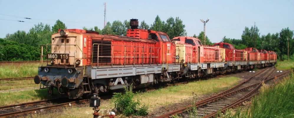 
            Фотография Чопа