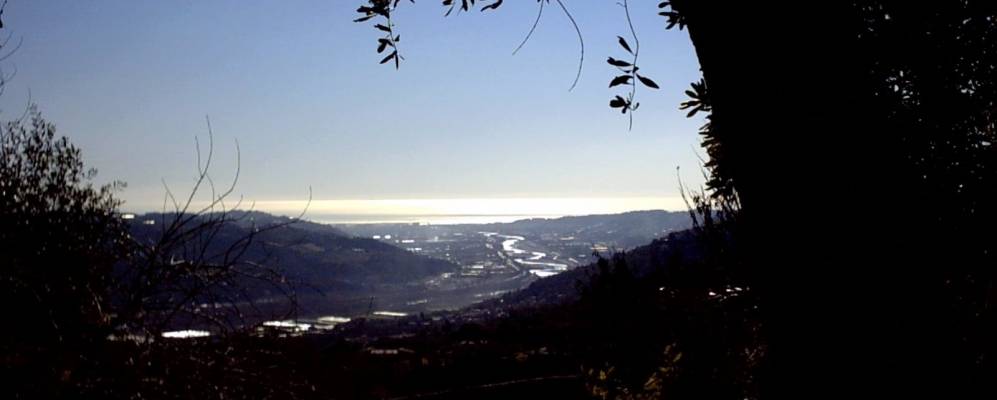 
            Фотография Карро