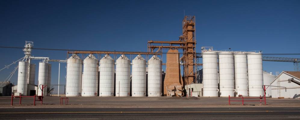 
            Фотография Олтона