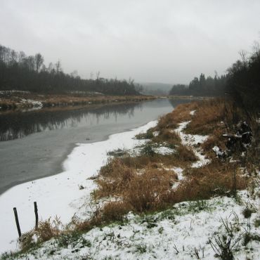 Полуэктово