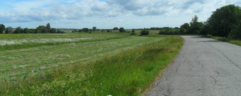 
            Фотография Богородского