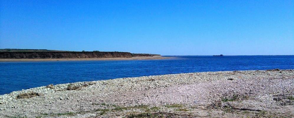 
            Фотография Галки