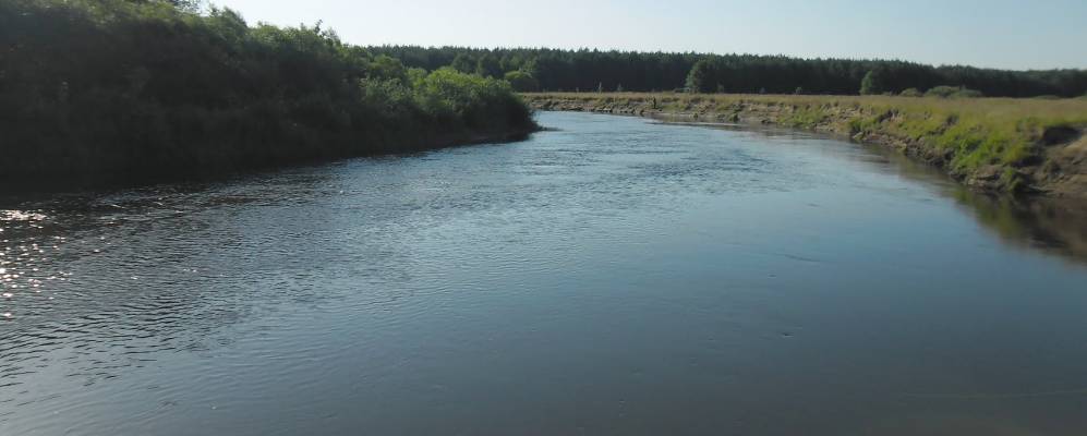 Фотография Бора