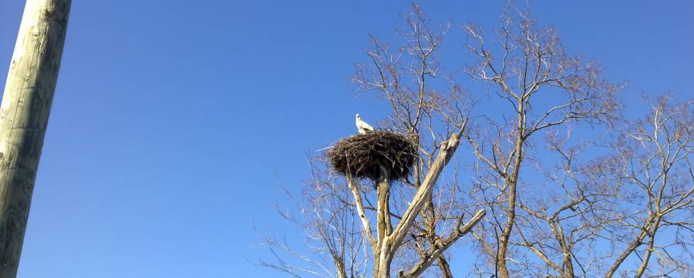 
            Фотография Степановщины