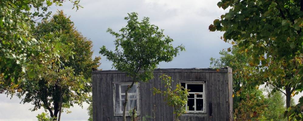 
            Фотография Васюкова