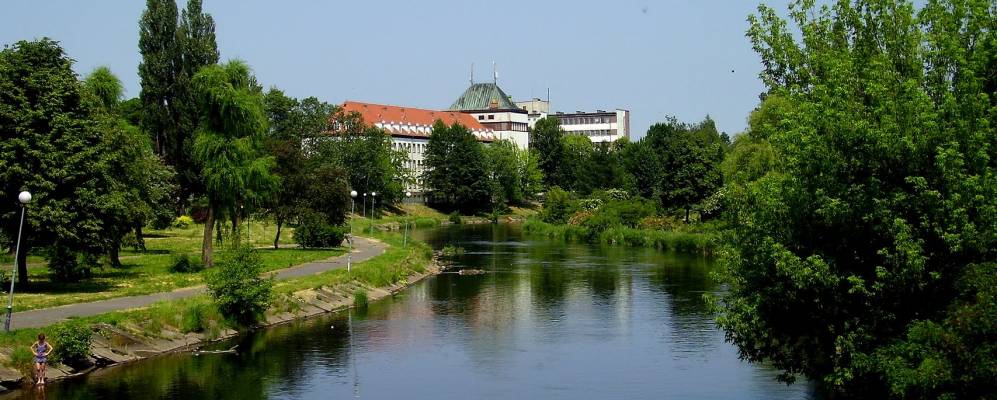 
            Фотография Пилы