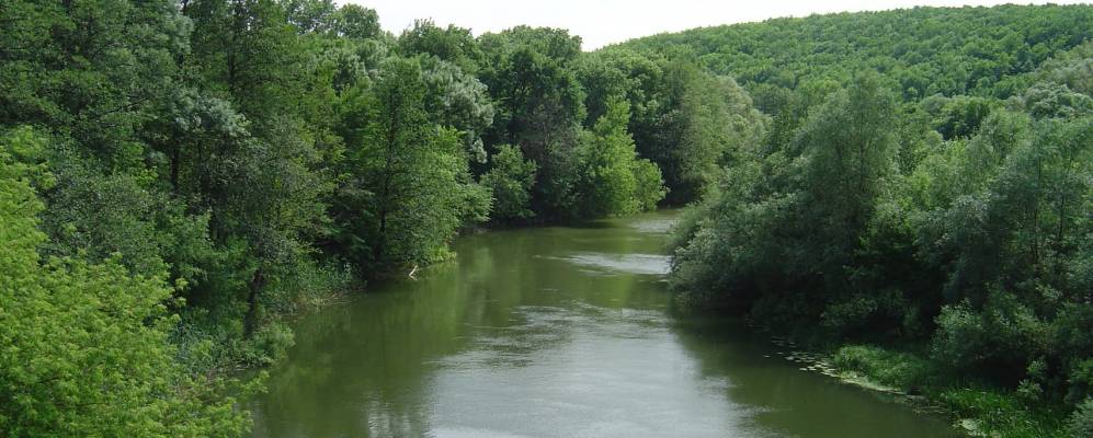 
            Фотография Ситнянки