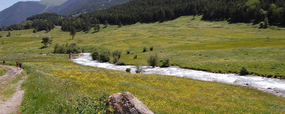 Фотография Джазлыка