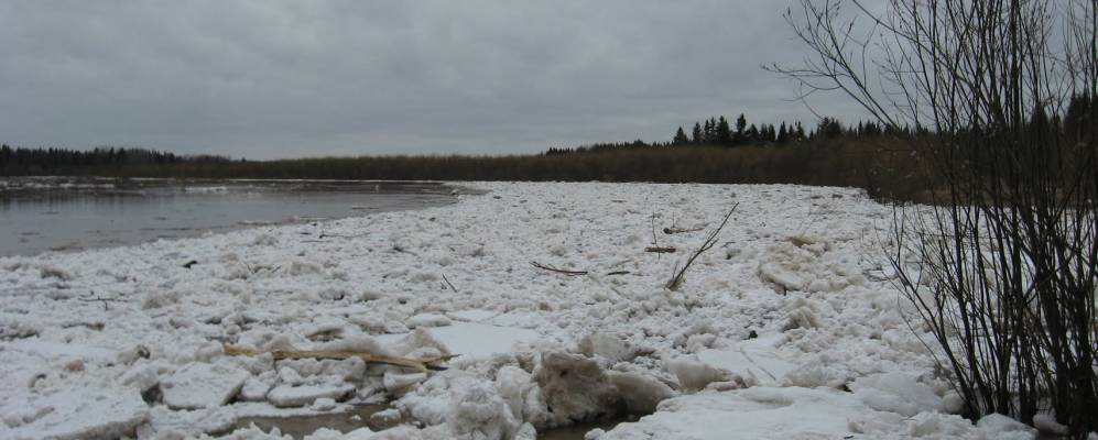 
            Фотография Лупьи