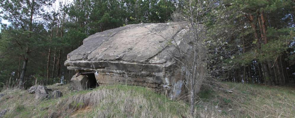 
            Фотография деревни Цари
