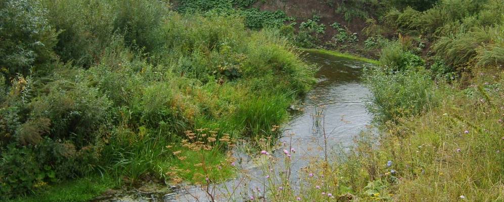 
            Фотография Преображенки