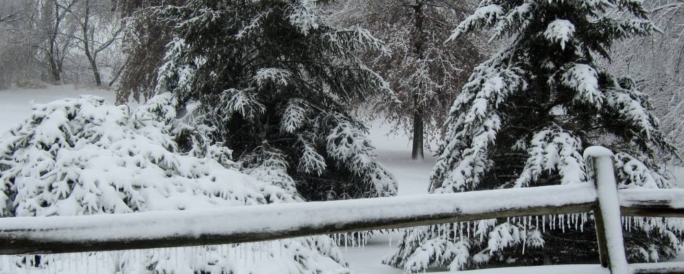 
            Фотография Алтуны