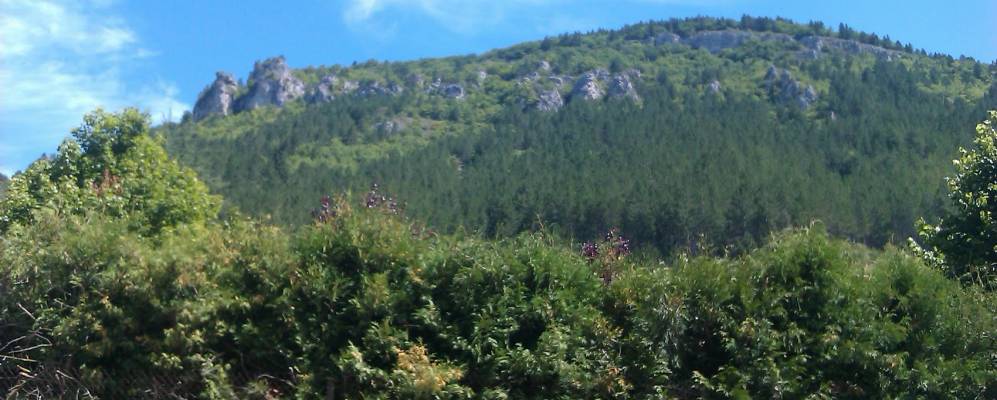 
            Фотография Баржака