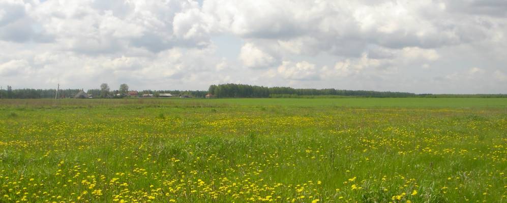 Фотография Смольной Вершины