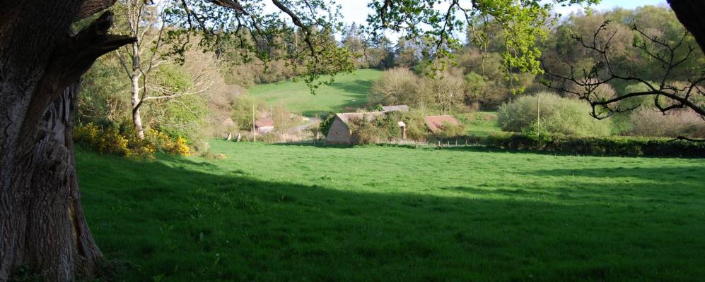 
            Фотография Вула