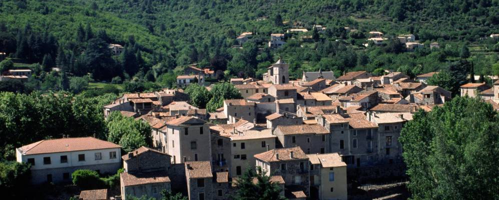 
            Фотография Олы