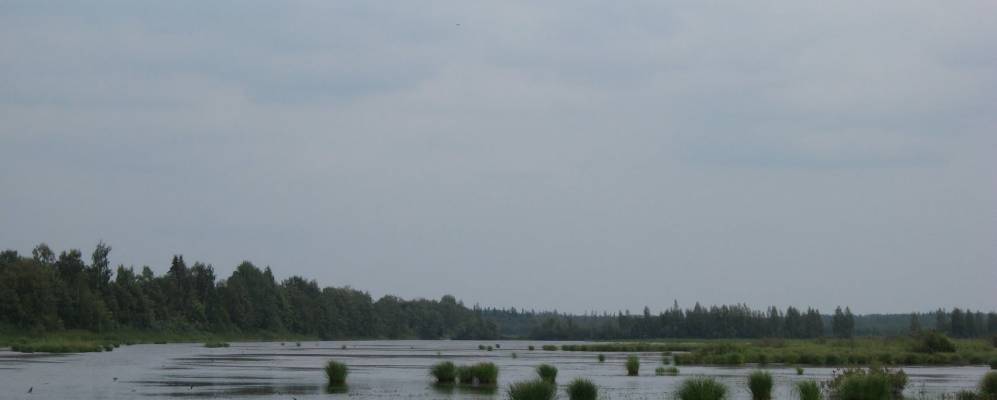 
            Фотография Сумского