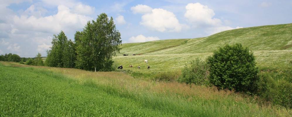 
            Фотография Арпаяза